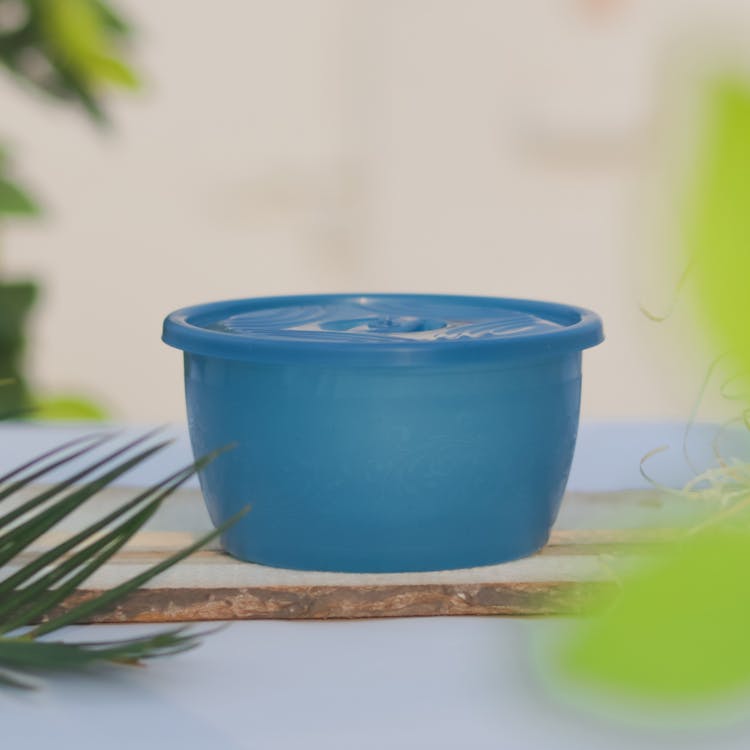 Photo Of A Blue Plastic Food Container, And Green Plants