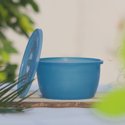 Photo of a Blue Plastic Food Container, and Green Leaves