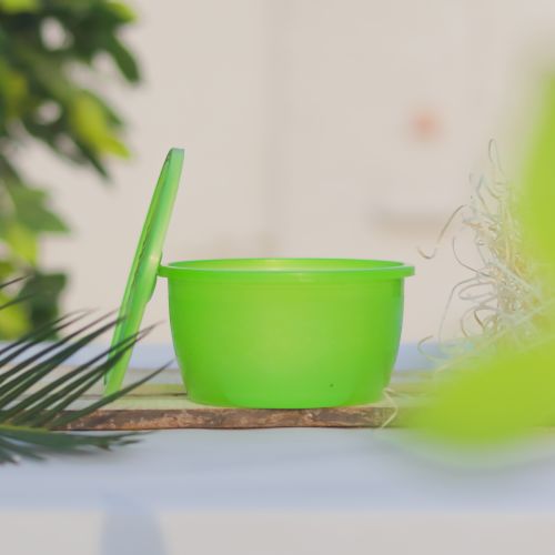 Free Bright green plastic bowl with lid outdoors, surrounded by natural elements. Stock Photo
