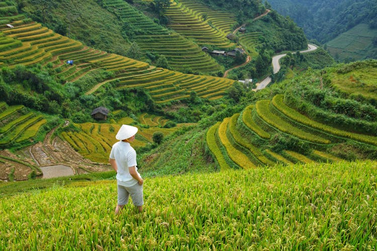 A Man Standing In A Field 