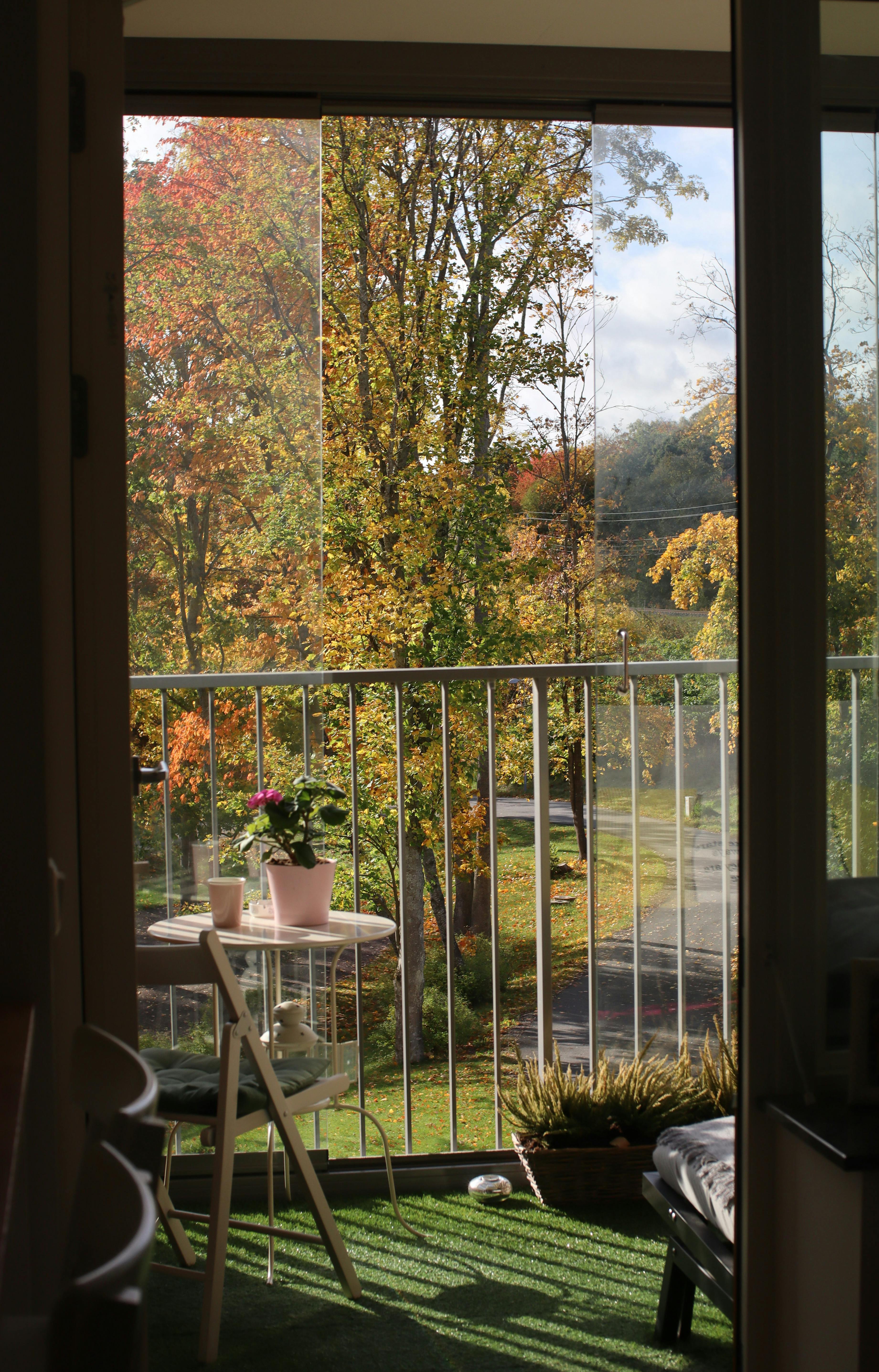 A tranquil view from a balcony with autumn foliage and a potted plant, perfect for relaxation.