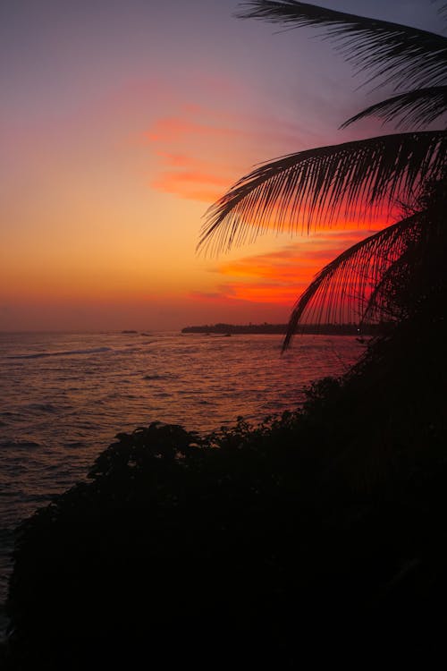 Безкоштовне стокове фото на тему «берег моря, дозвілля, Захід сонця»