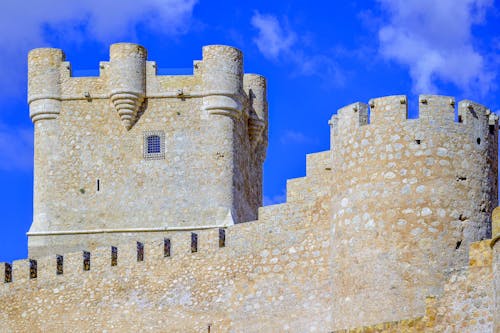 Castle Wall and Tower