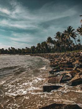 Beautiful rocky shore with palm trees and crashing waves in Kollam, India under a clear blue sky.