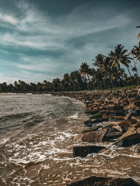 Beautiful rocky shore with palm trees and crashing waves in Kollam, India under a clear blue sky.