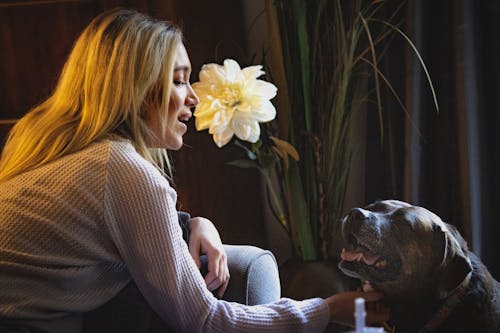 Woman in Gray Sweater Petting a Dog
