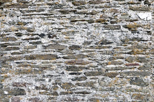 Stone Texture