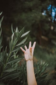 An artistic shot of a human hand reaching for vibrant green leaves, symbolizing connection with nature.