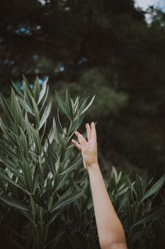 A hand reaching through vibrant green leaves outdoors, showcasing the beauty of nature.