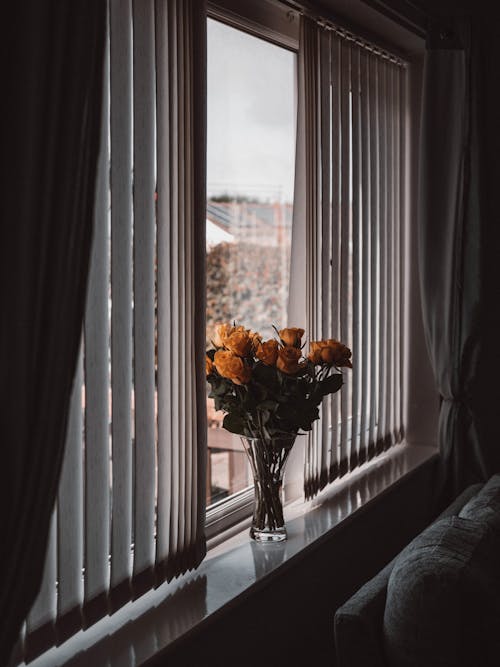 Roses in Window