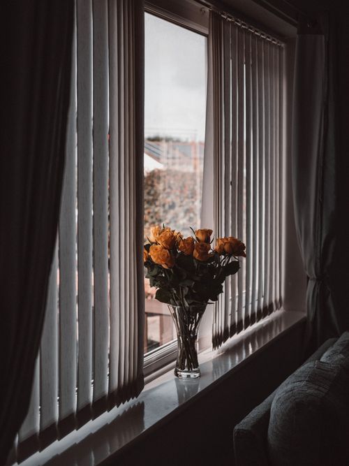 Free A beautiful bouquet of roses in a vase by a window with vertical blinds, indoors. Stock Photo
