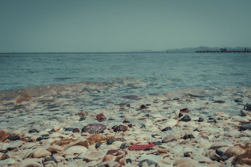 Free A tranquil beach with seashells scattered across the shoreline under a clear sky. Stock Photo