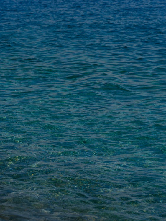 Free Water Ripples in a Body of Water Stock Photo