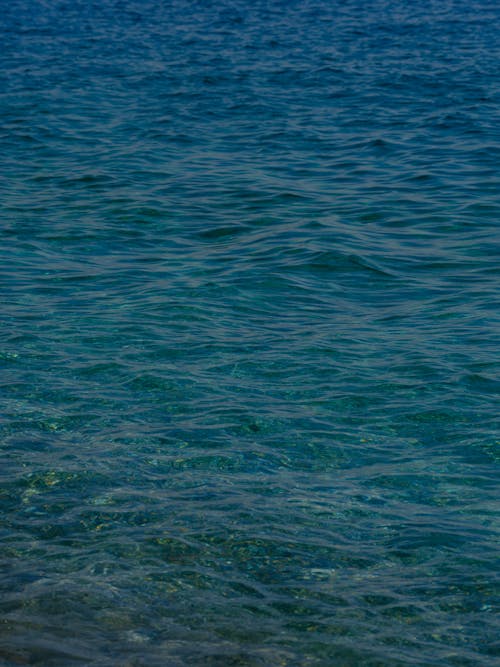 Free Water Ripples in a Body of Water Stock Photo