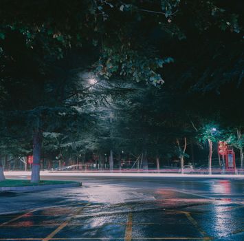 A serene nighttime street scene with car light trails and lush trees, offering a mystical urban mood.