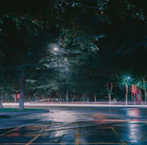 Free A serene nighttime street scene with car light trails and lush trees, offering a mystical urban mood. Stock Photo