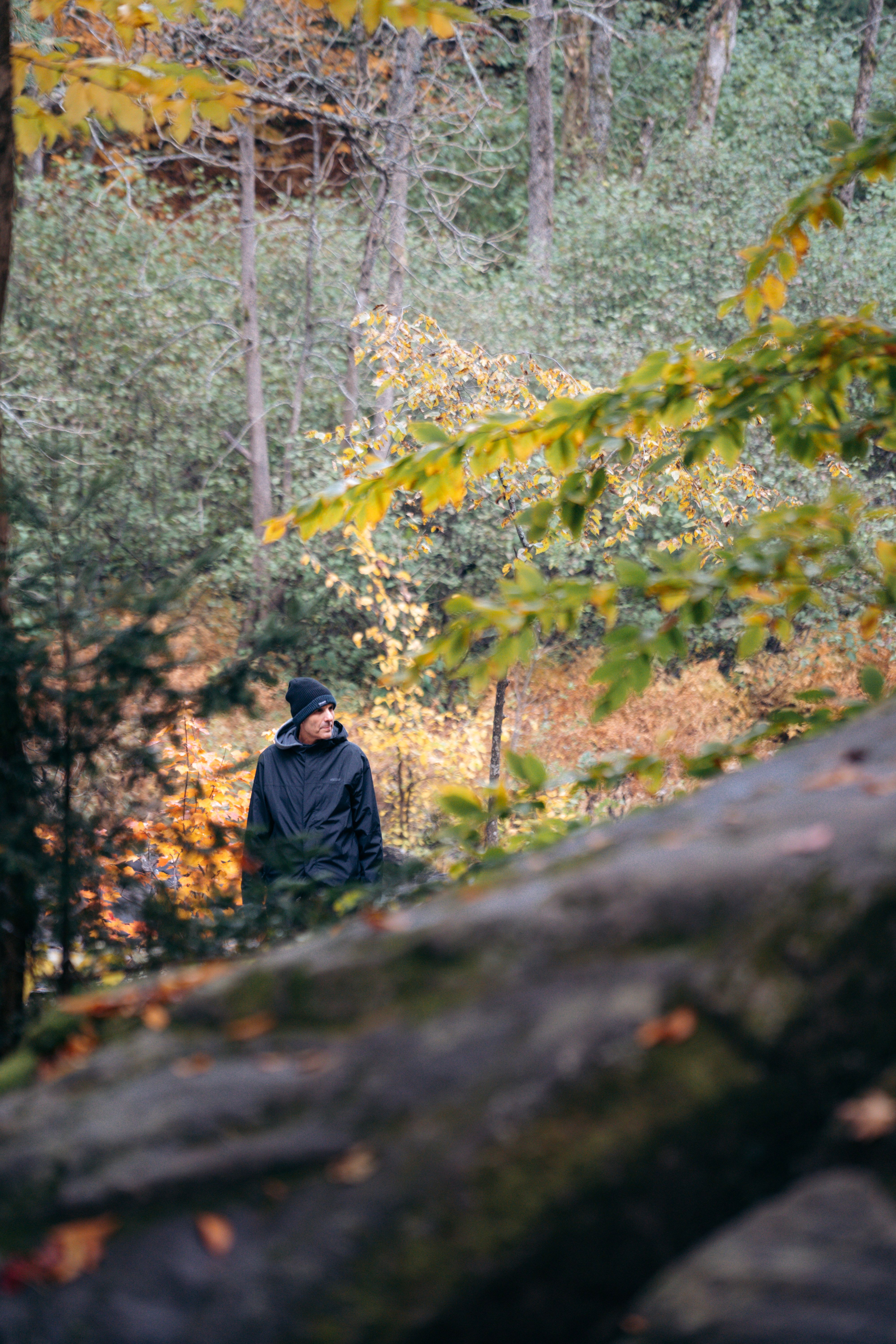 A man enjoys a peaceful walk in a lush autumn forest, surrounded by colorful foliage.