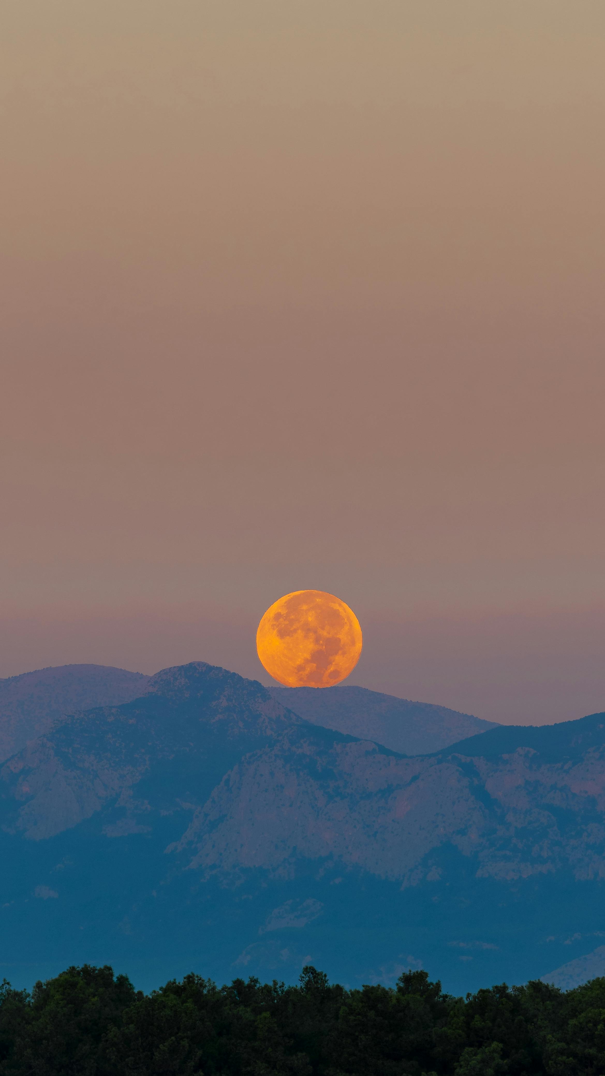 75,700+ Scarlet Moon Stock Photos, Pictures & Royalty-Free Images - iStock