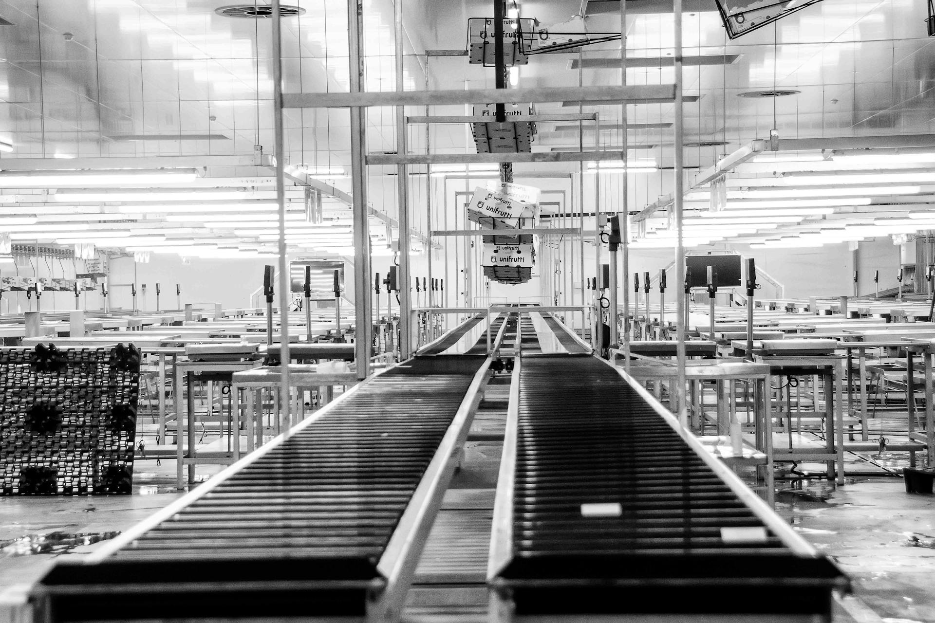 Modern conveyor system in a monochrome industrial factory setting in Redelinghuys, South Africa.