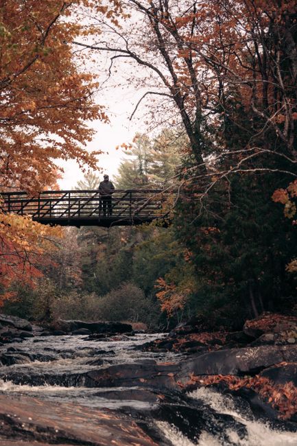 A tranquil autumn scene with a bridge over a scenic stream and vibrant fall foliage.