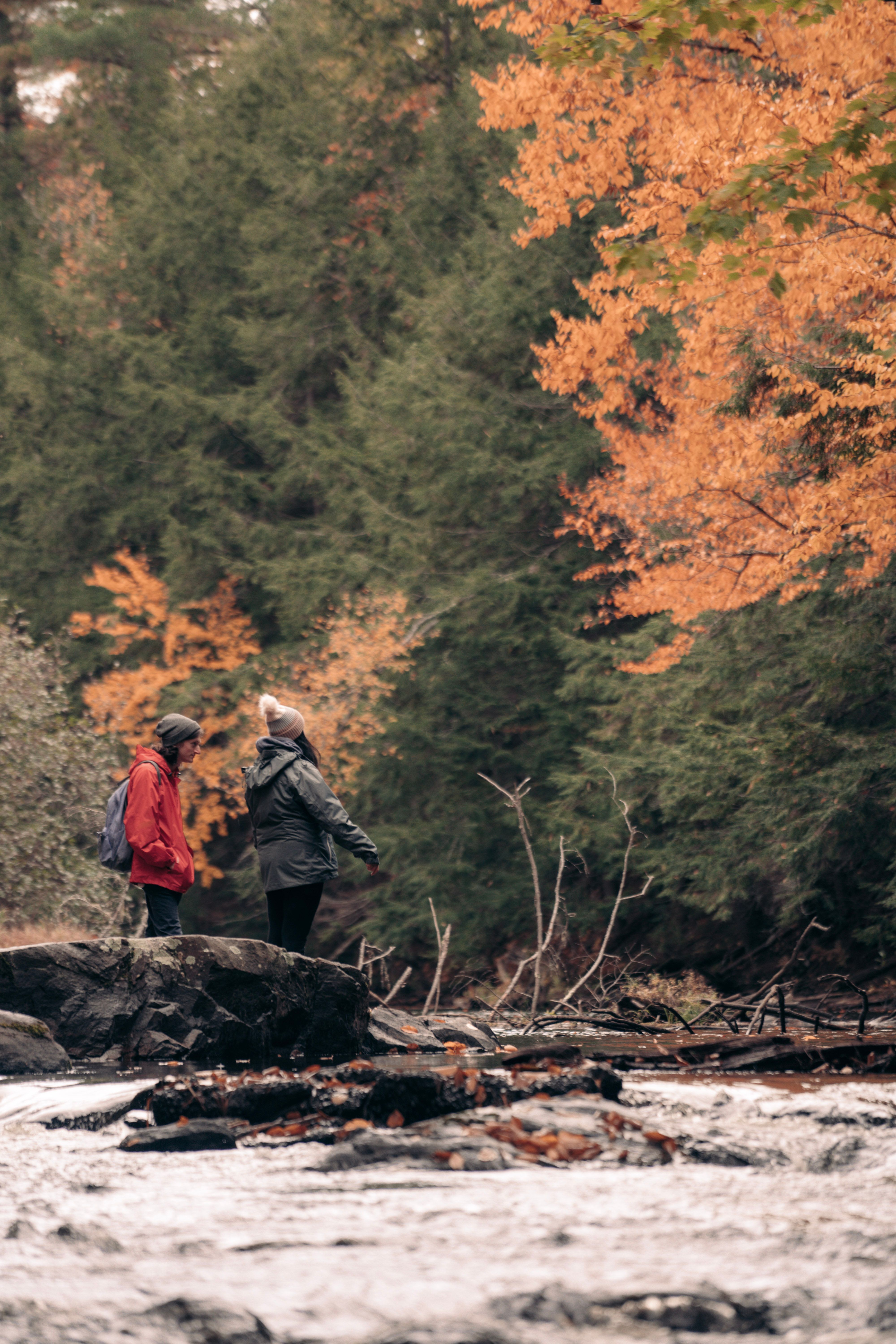 Person Standing on the Bridge over the River in a Forest in Autumn ...