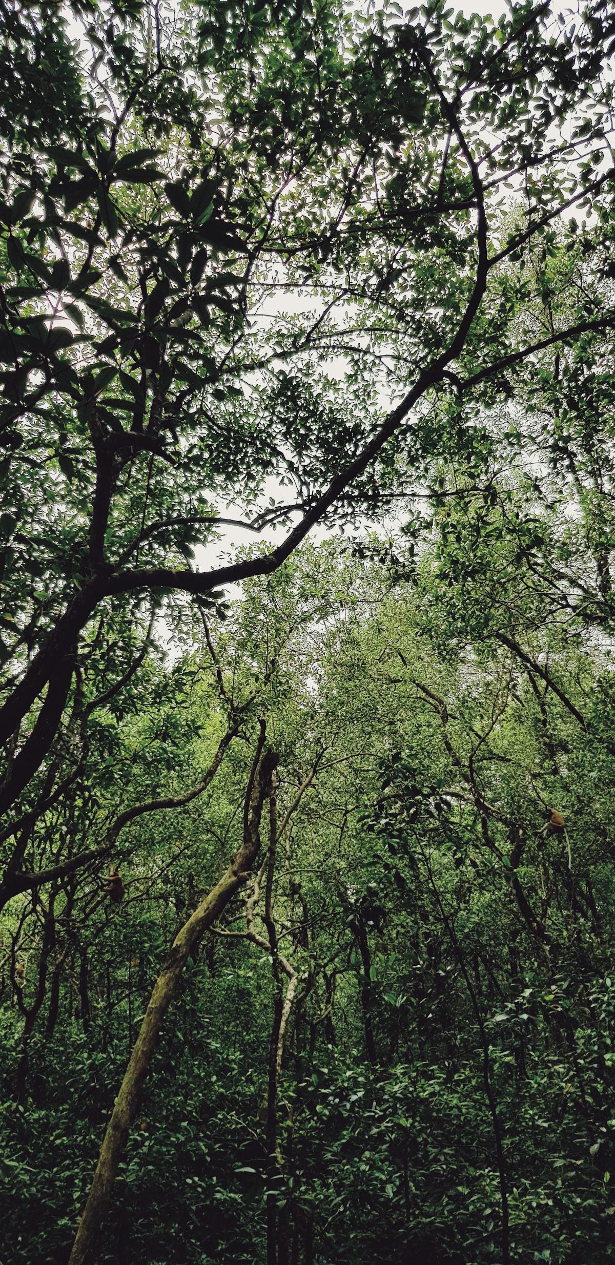 Assorted whole grains including teff, fonio, and sorghum displayed in small bowls