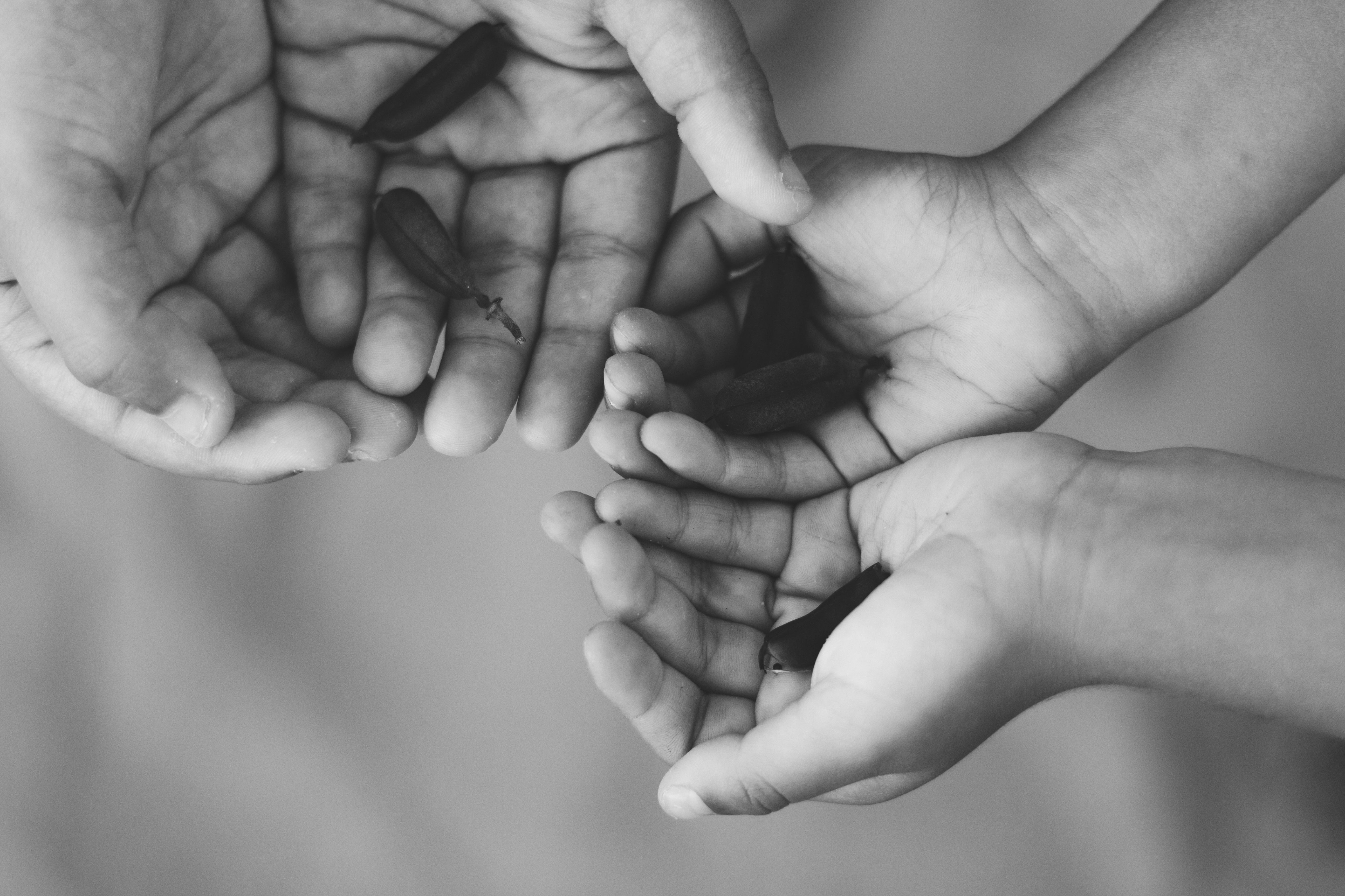 Black and white photo of hands holding seeds, symbolizing growth.