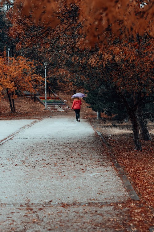 Woman with Umbrella in Autumn Park