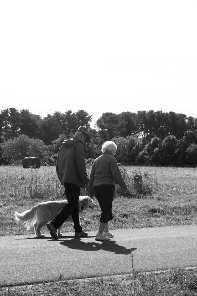 A Man And Woman Walking With Dog 