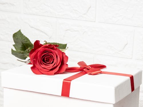 Fotos de stock gratuitas de caja de regalo, de cerca, flor