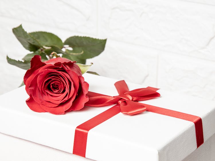 Red Rose On White Gift Box With Red Ribbon