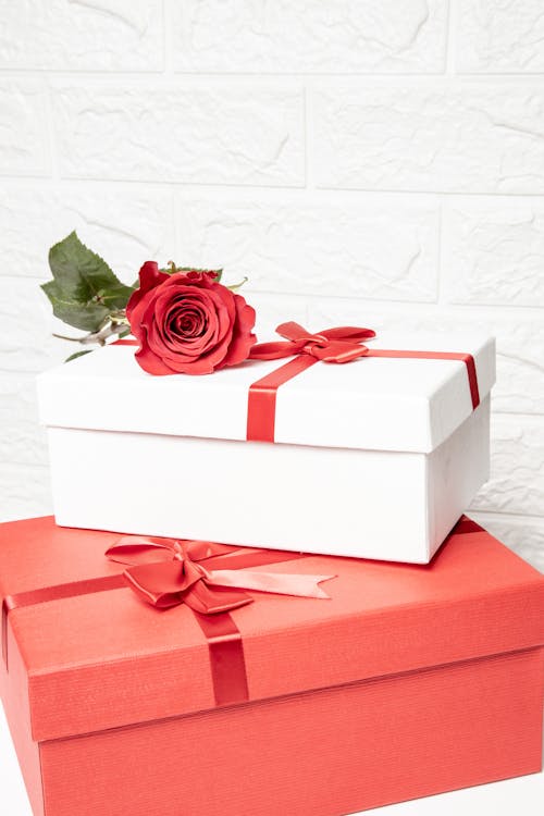 Red Rose on White Gift Box