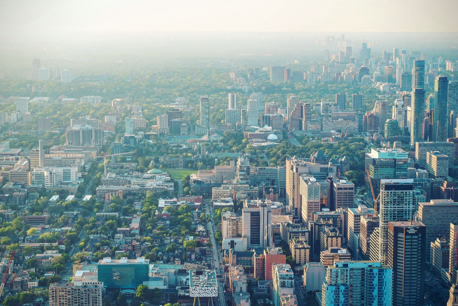 Ottawa's Extreme Heat Wave: How to Stay Safe During One of the Hottest Days of the Summer