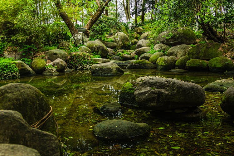 Mossy Rocks On River 