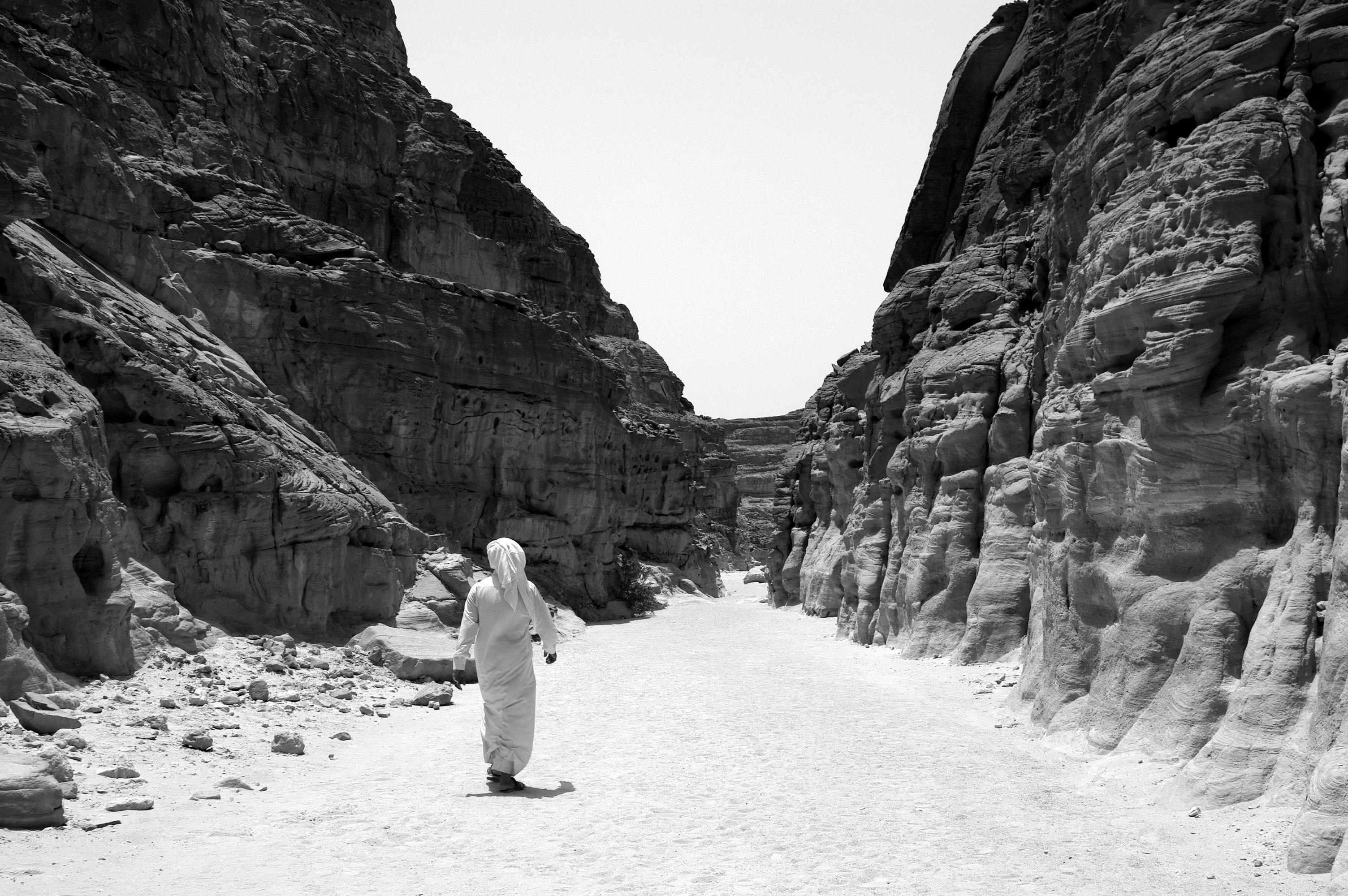 Free stock photo of black and white, desert, Egyptian man