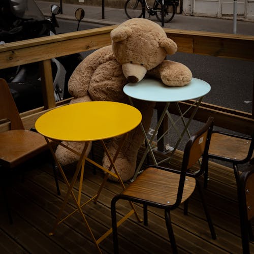 Безкоштовне стокове фото на тему «плюшевий ведмедик, сидіння, стіл»