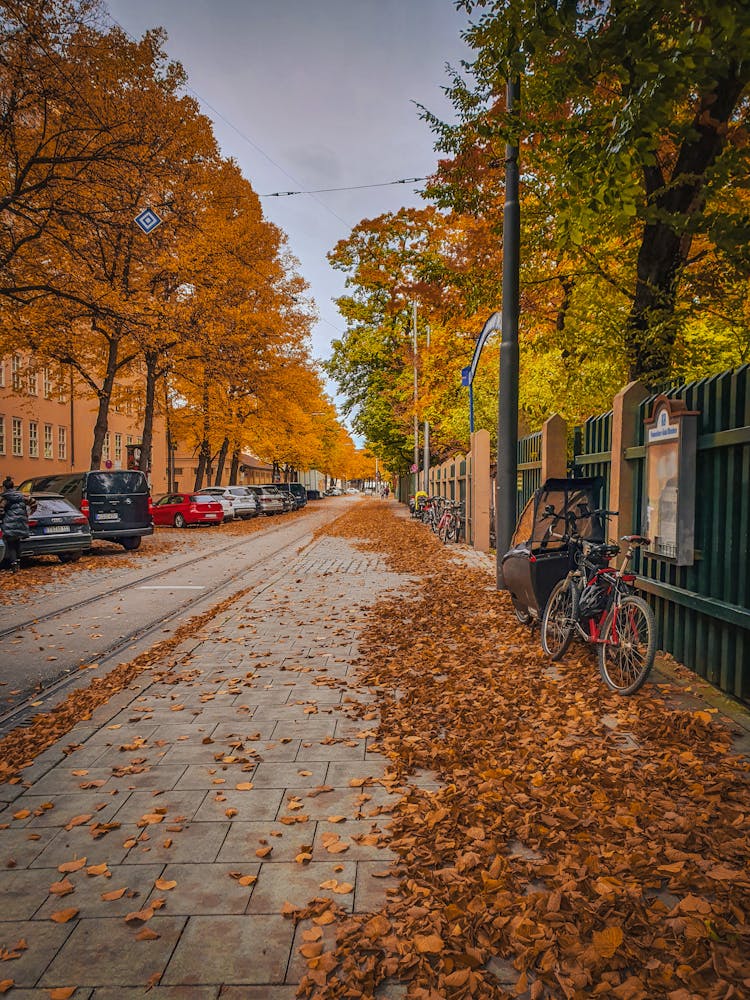 View Of A Street In Autumn