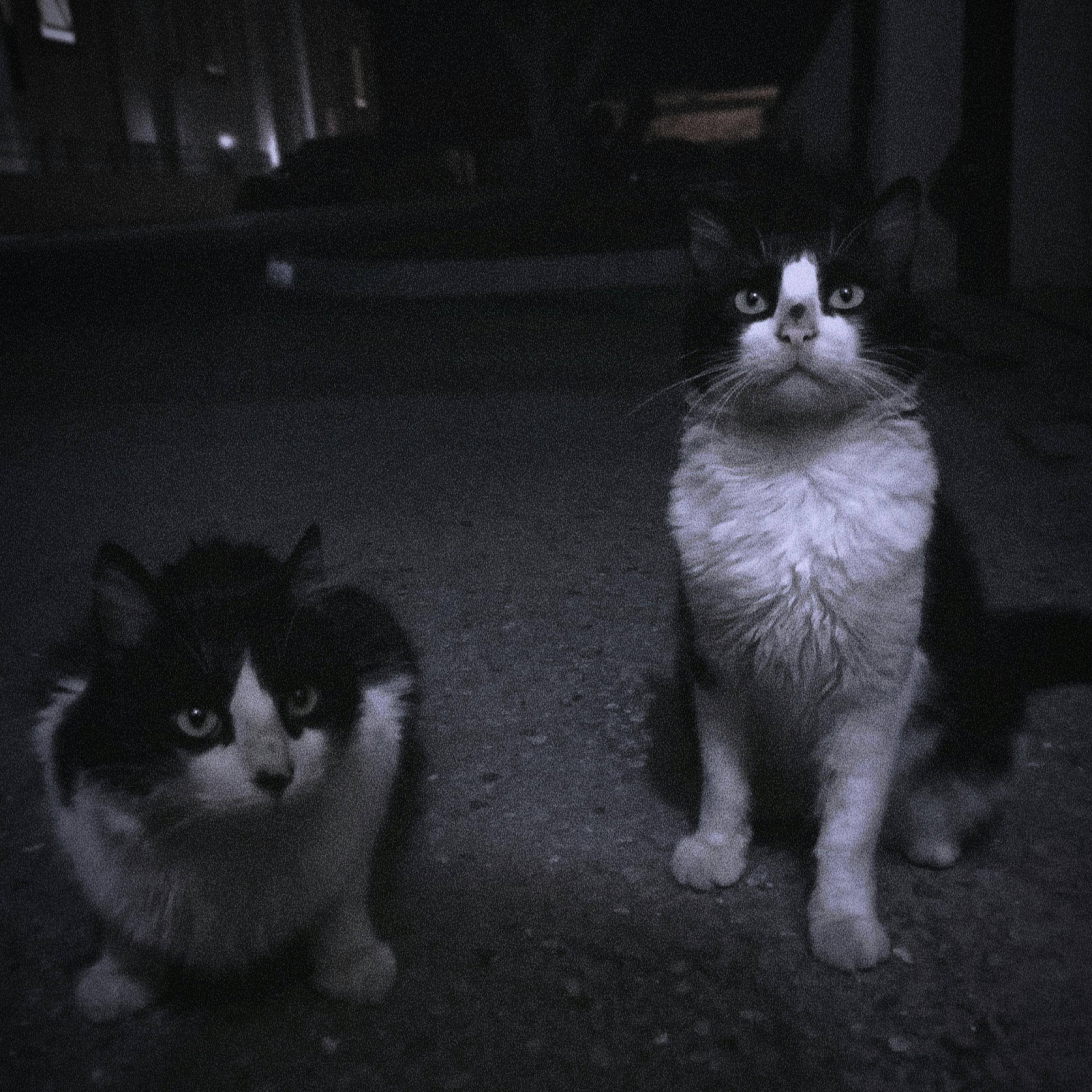 Rami Amdouni Photographie