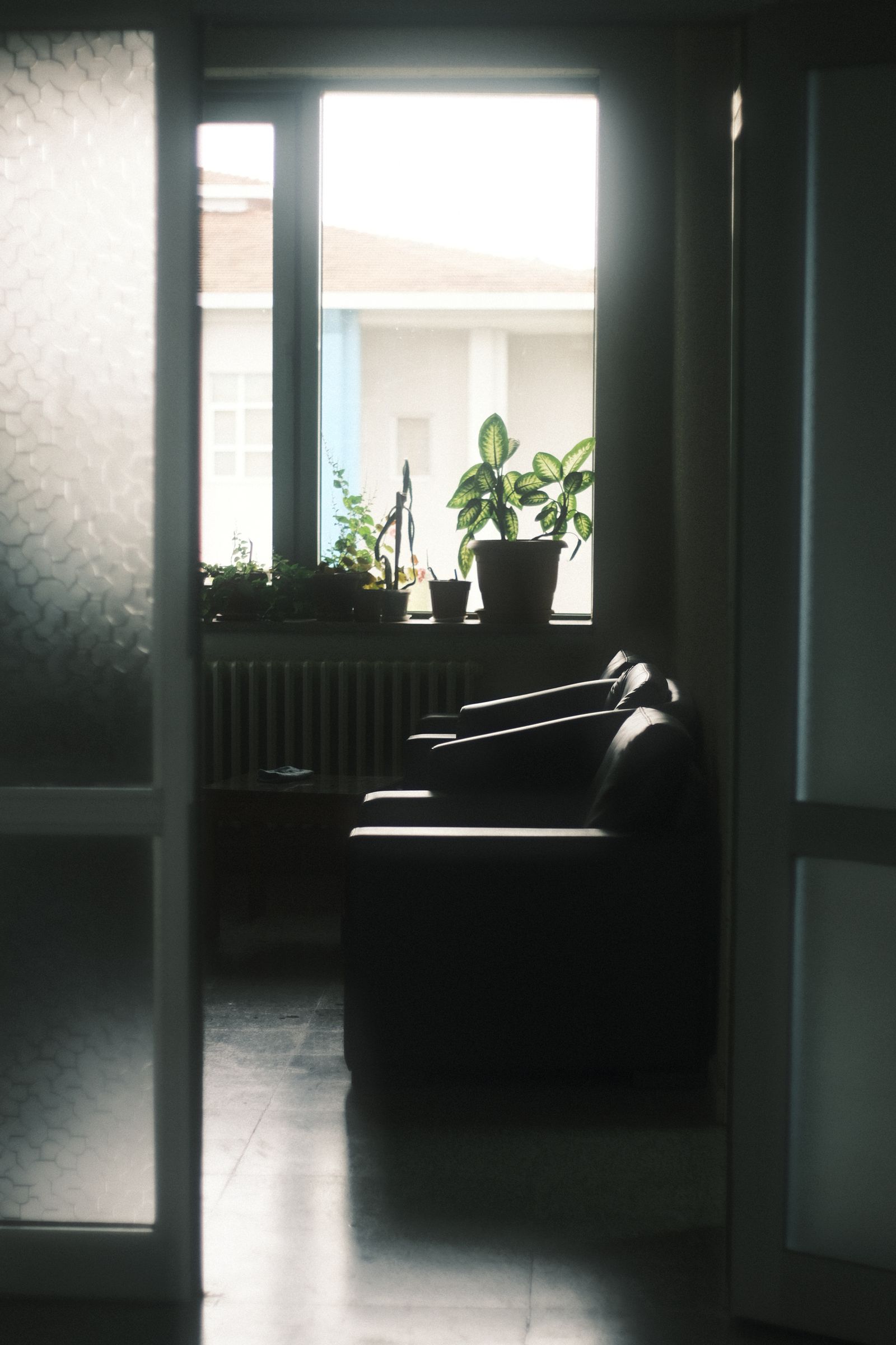 Calm sunlit room with chairs and plants representing a supportive setting for reflection and planning