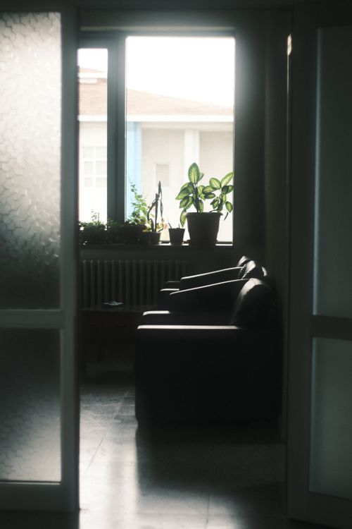 Free A serene living room with cozy chairs and potted plants bathed in natural light from a large window. Stock Photo