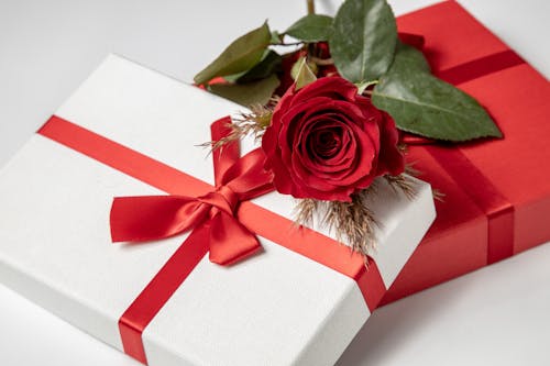 Free Red Rose on White and Red Gift Boxes Stock Photo