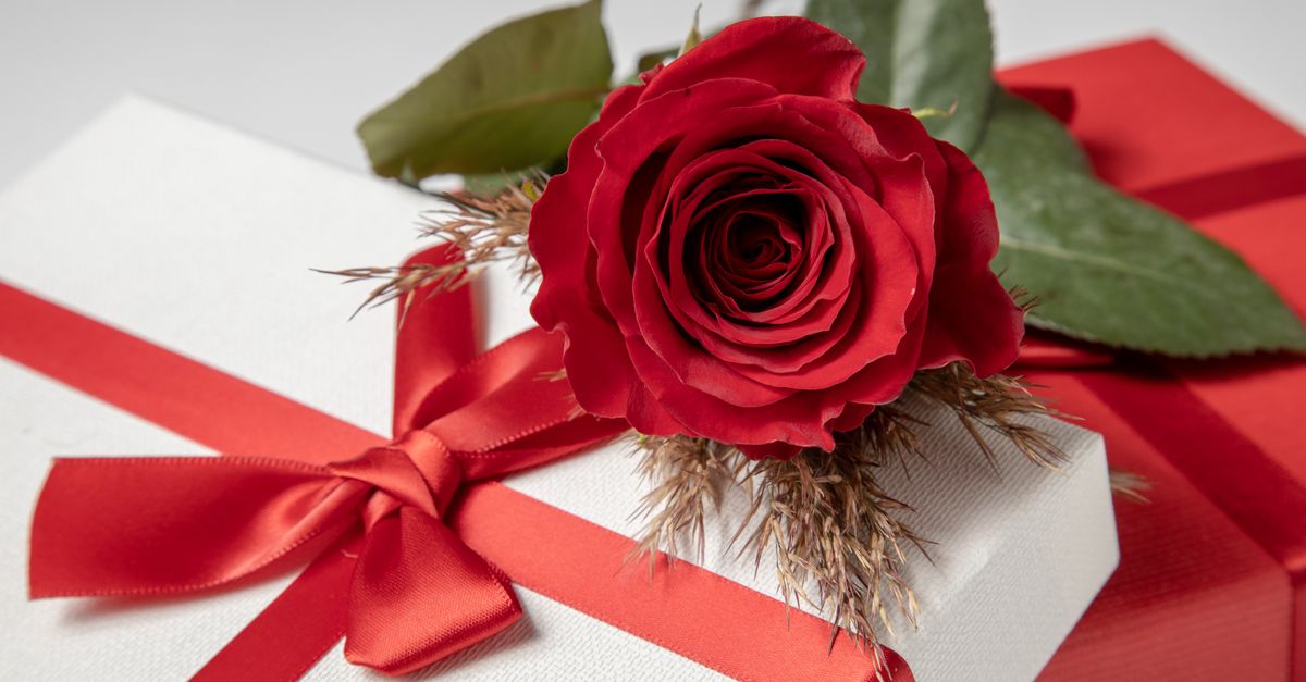Red Rose Gifting Close Up Shot of a Red Rose and Gift · Free Stock Photo