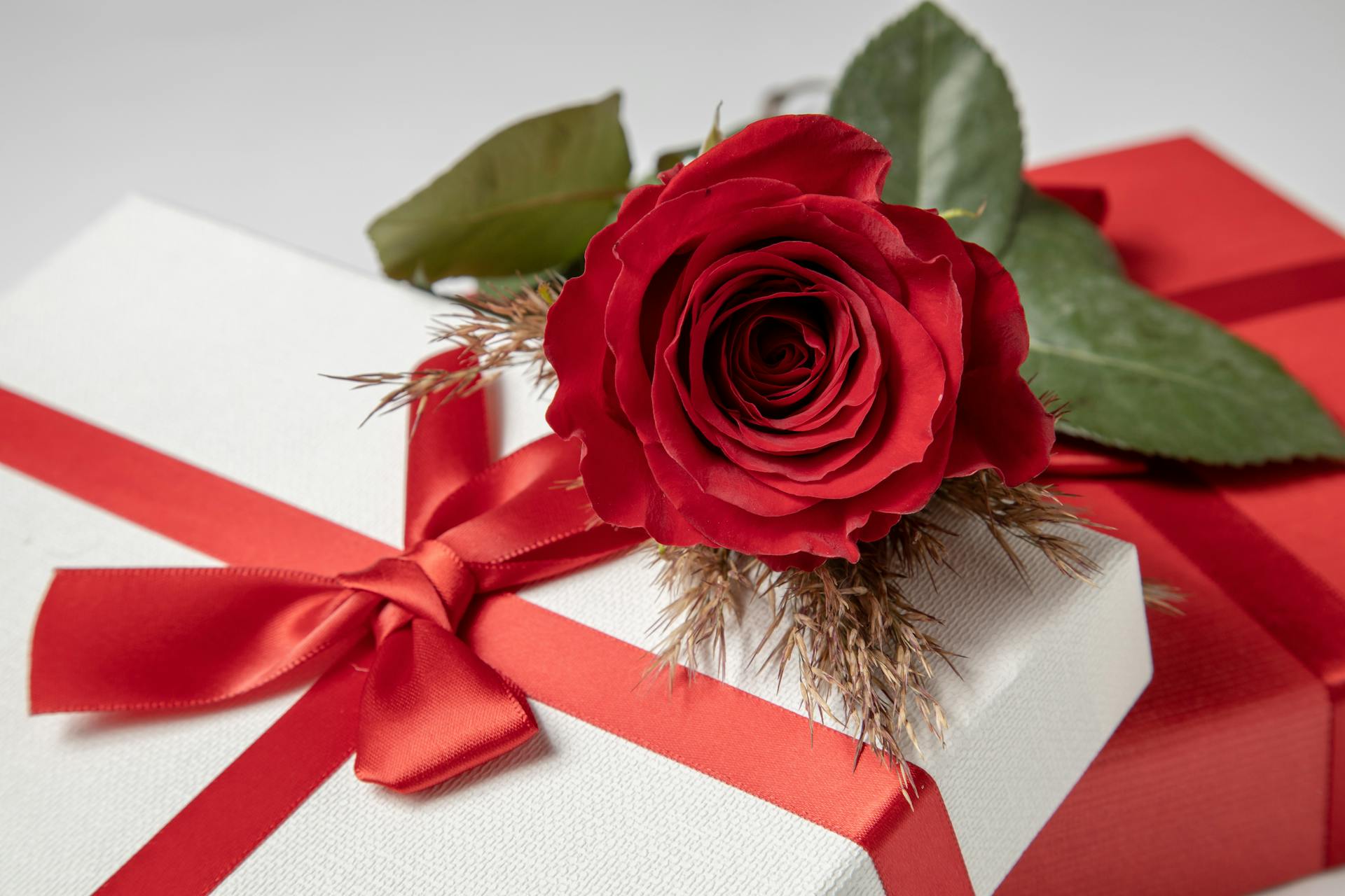 A close-up of a beautiful red rose placed on a white gift box tied with a red ribbon, symbolizing elegance and love.