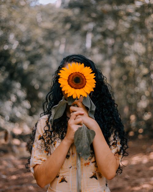Free A woman with curly hair playfully hides her face with a sunflower in an outdoor setting. Stock Photo