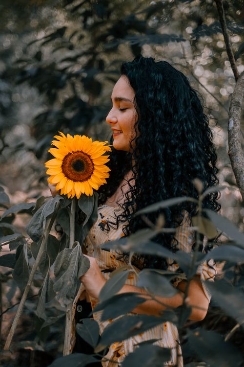 Free A woman with curly hair holds a vibrant sunflower, set against a natural outdoor backdrop. Stock Photo