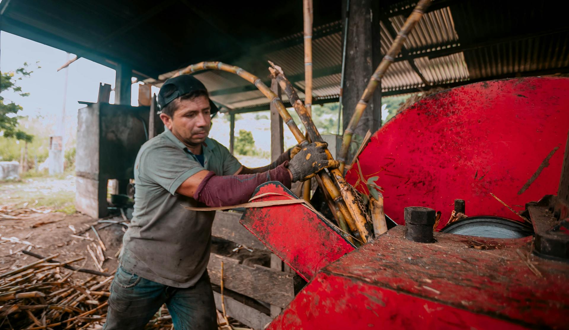 Man Using Branch Shredder