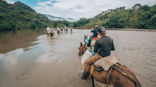 Free People Riding Horses at a River Stock Photo