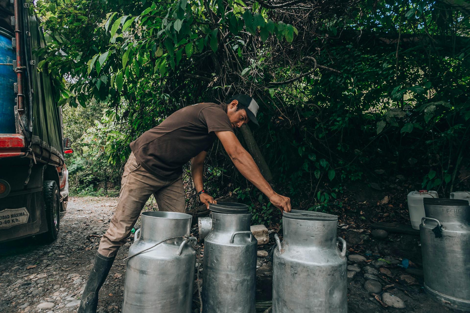 A man loading milk cans onto a truck on a forest road. Rural and outdoor scene.