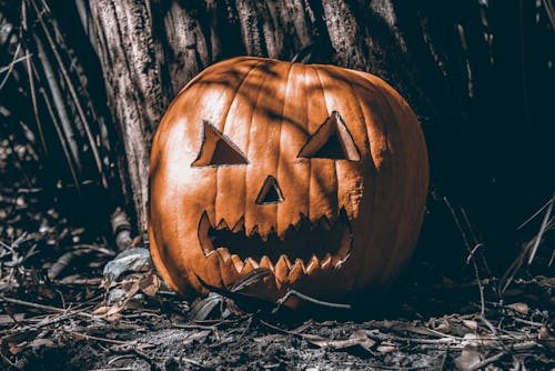 Immagine gratuita di avvicinamento, carta da parati di halloween, halloween