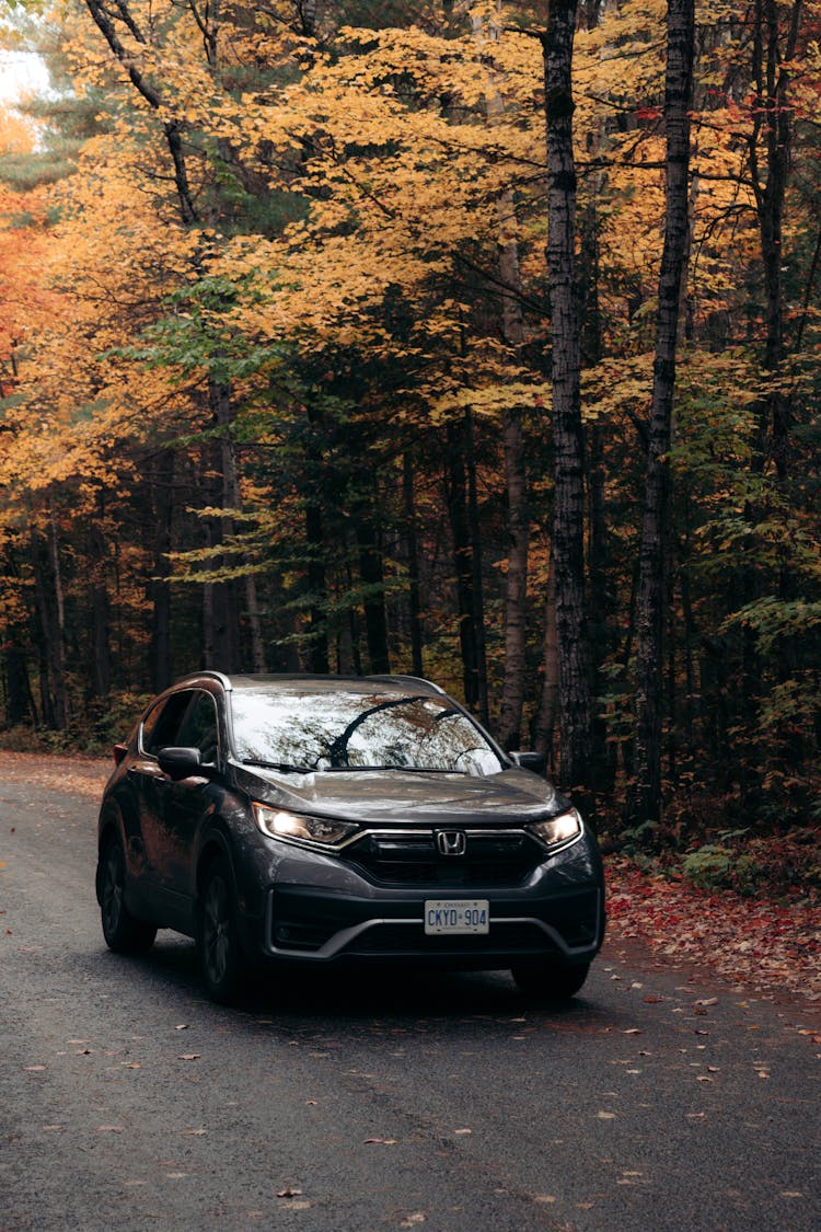 A Car On The Road During Autumn 